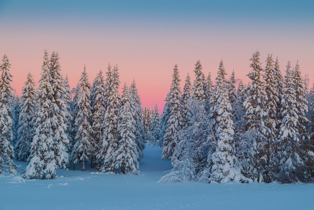 Snow