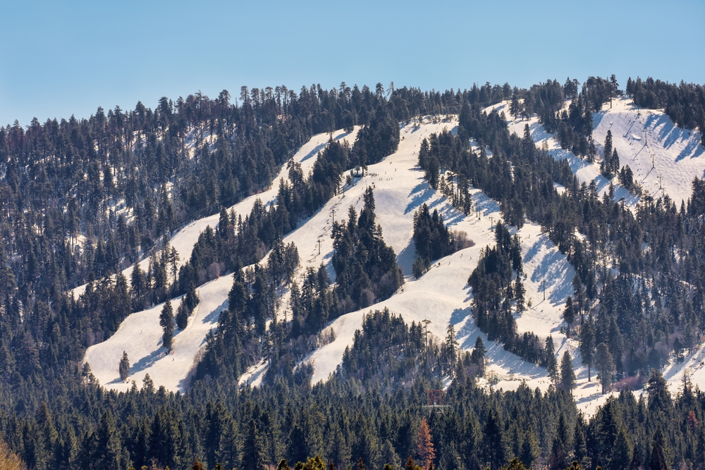 Big Bear