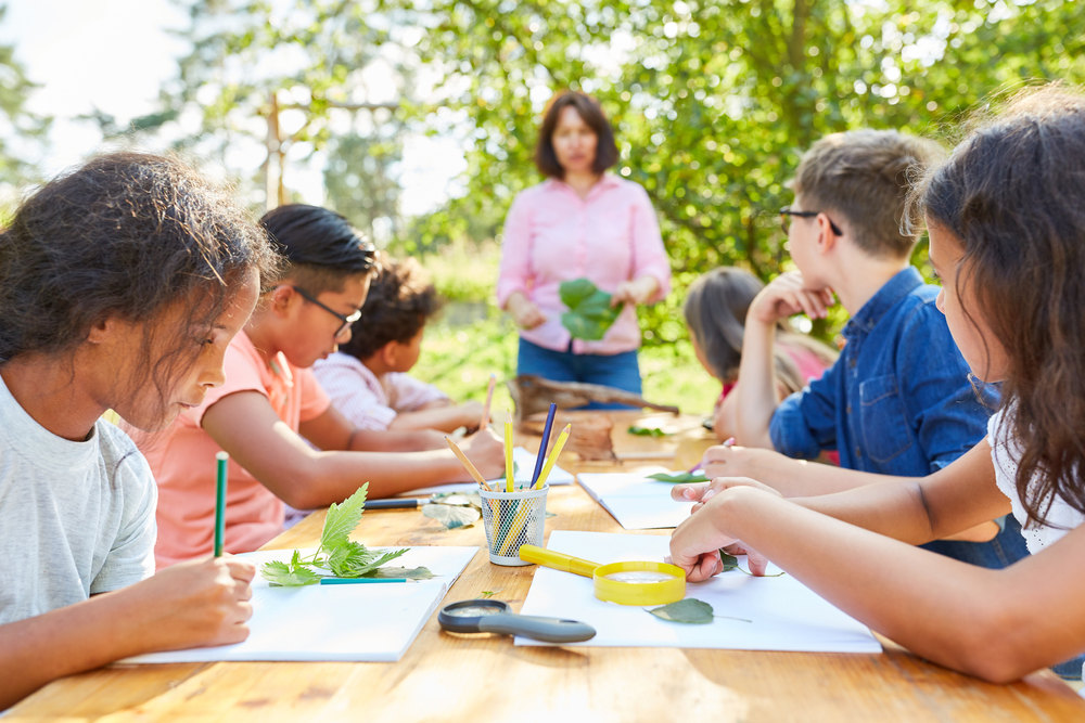 Why Environmental Education Matters for Future Generations