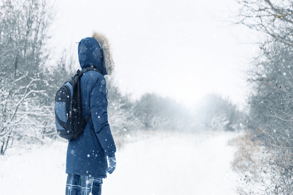 Why Snowfall Matters for Water, Wildlife, and Mountain Ecosystems