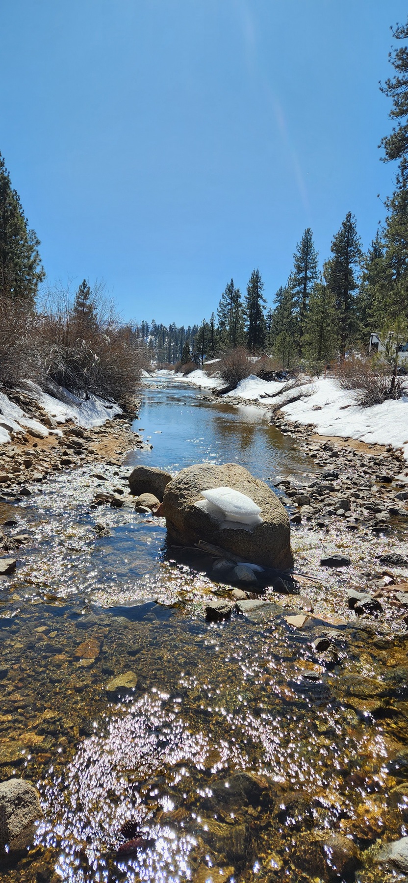 Big Bear rs